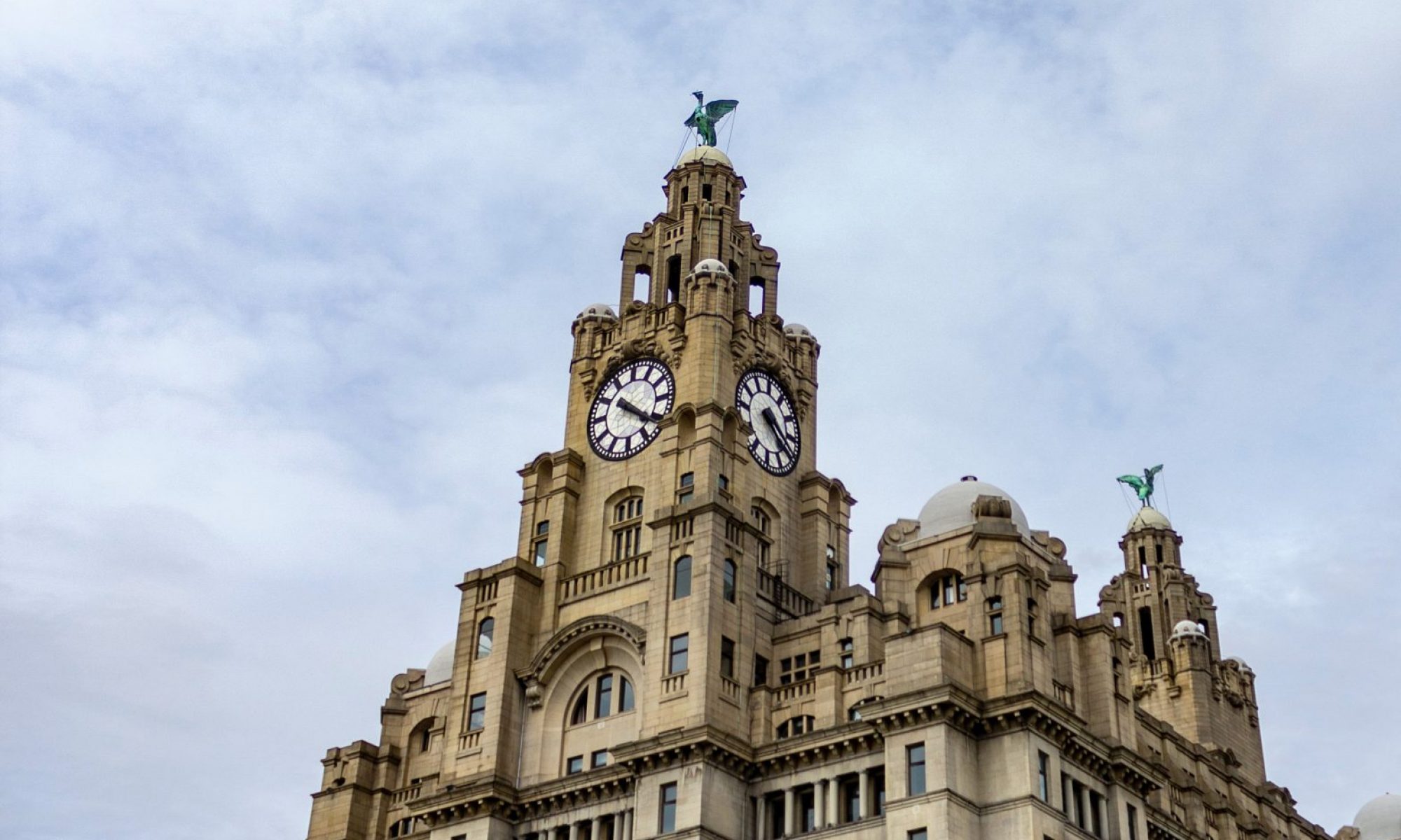 Witch Hazel Properties